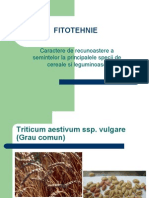 Fitotehnie 1