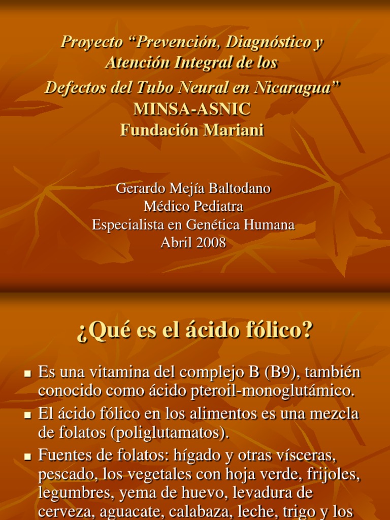 Todo Sobre Acido Folico