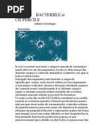 biologie