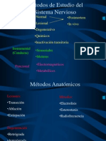 Métodos de Estudio Del Sistema Nervioso