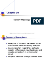 Sensory Physiology