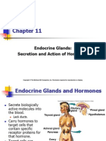 Endocrine Glands: Secretion and Action of Hormones