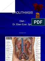 Urolithiasis Dan Hematuria