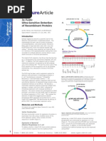 Download Cloning and Expression - FLAG and 3xFLAG Overview by Sigma-Aldrich SN12344486 doc pdf