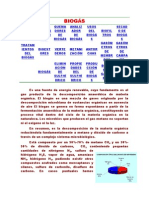 Biogas PDF