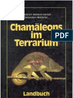 Chamäleons Im Terrarium PDF