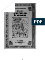 PROTOS. NICODIM MĂNDIŢĂ - Calea sufletelor in vesnicie. 24 de vami ale vazduhului (1)