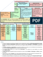 Clasificacion de Los Huesos PDF
