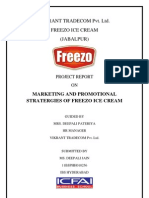 Freezo Ice Cream Marketing Strategies