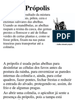 08-Própolis