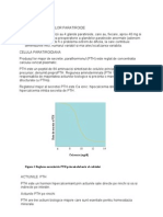 endocrinologie