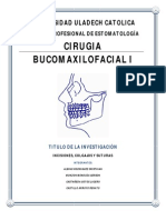 Tarea 1 Cirugia Grupo Loselevadores