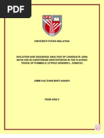 Download isolasi flavedo by Nunik Setyowati SN123541345 doc pdf