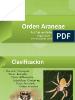 Orden Araneae Old V