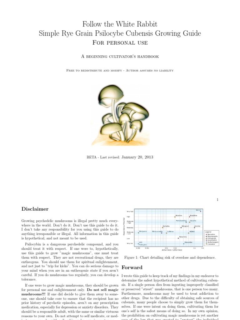 Follow The White Rabbit Rye Cubensis Tek | PDF | Mushroom | Pressure ...