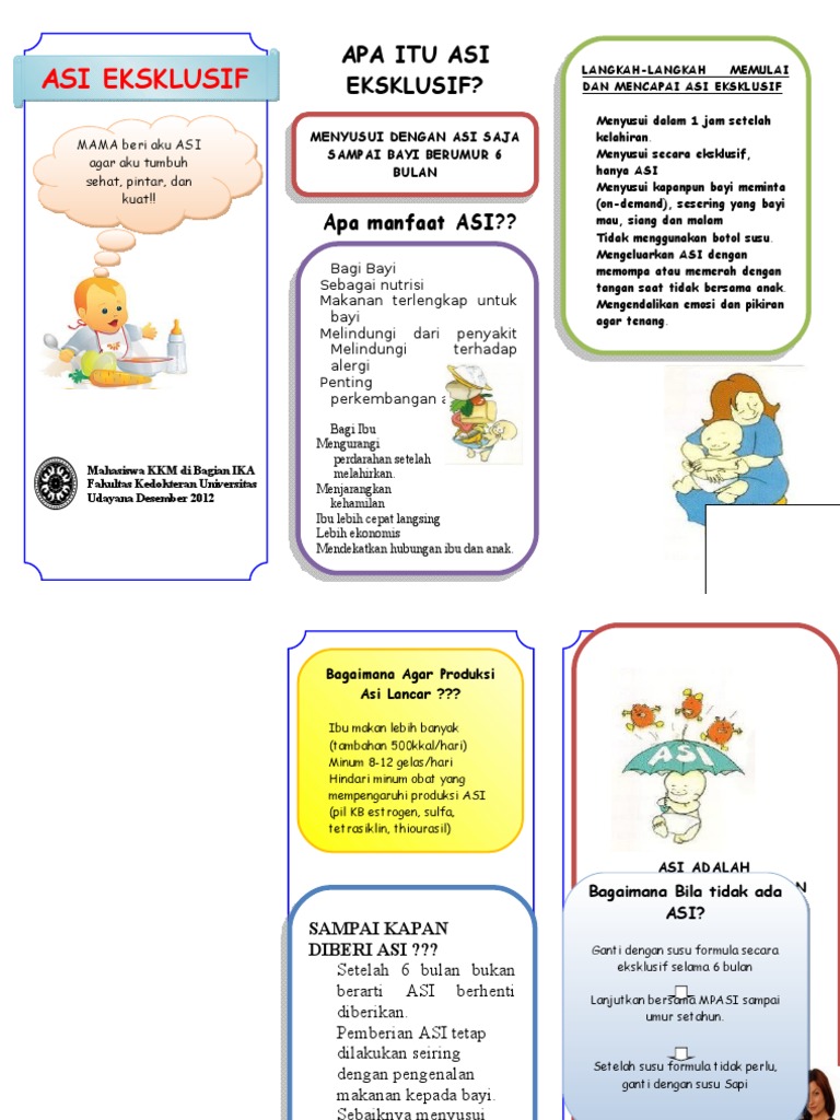 Leaflet Asi Eksklusif | PDF