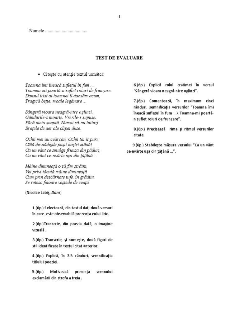 Super Testare | PDF