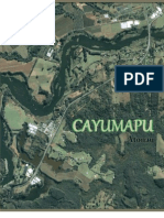 CAYUMAPU.docx