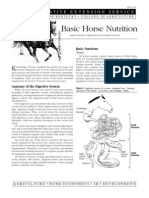 Basic Horse Nutrition