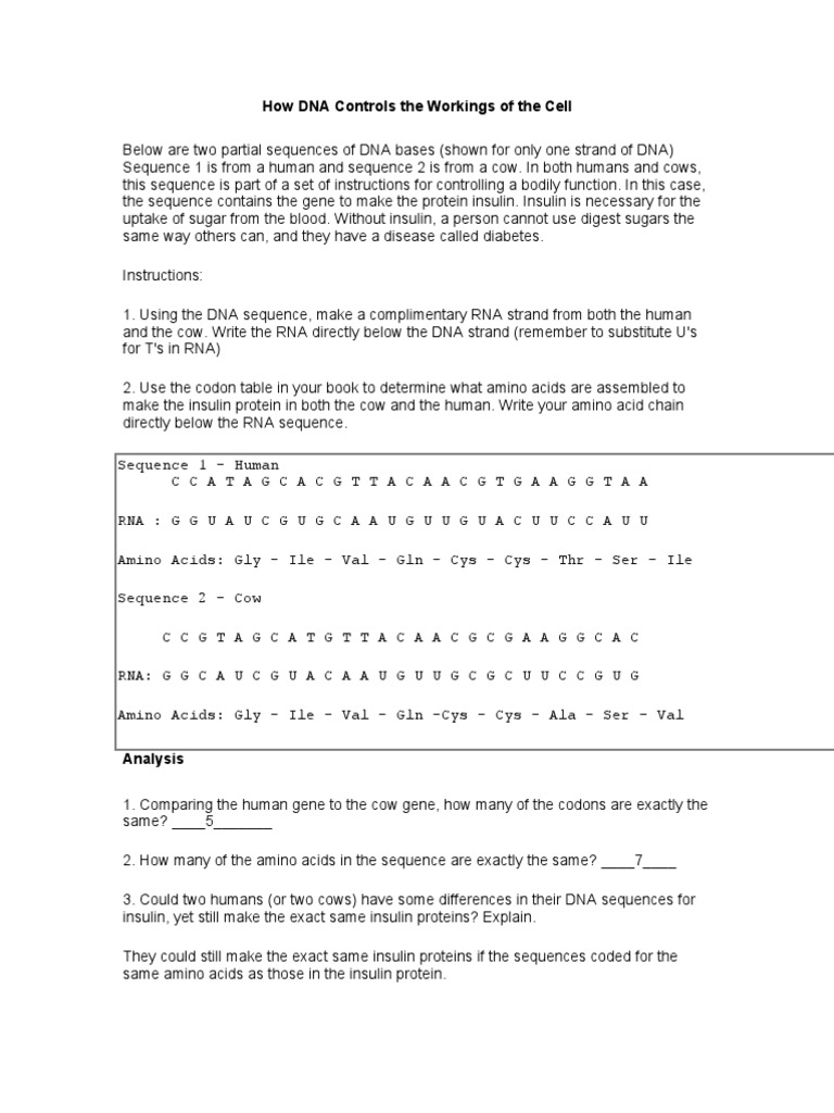 Dna Worksheet Answers Genetic Code Nucleic Acid Sequence