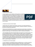 Usando o Carvao Vegetal PDF