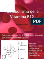 Metabolismo de La Vit B12 Original