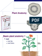 Plant Anatomy