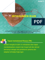 Kuliah 2 - Integumen (130912)