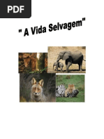 A Vida Selvagens