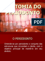 _anatomia Do Periodonto