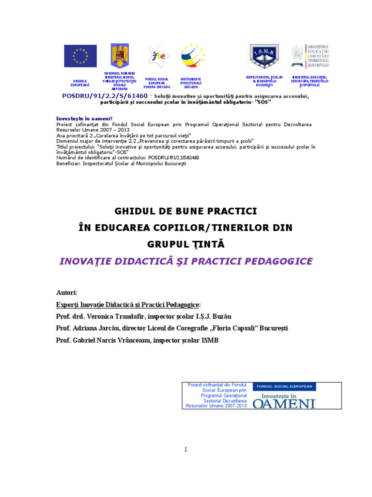 Ghid de Bune Practici | PDF