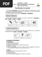 Anim Vertebrados- Invertebrados