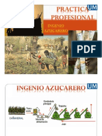 Presentacion Practica Profesional PDF