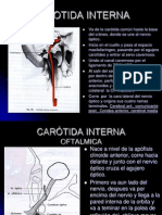 5 Arteriacarotidaint 100126203701 Phpapp02