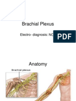 brachila plexus injuty