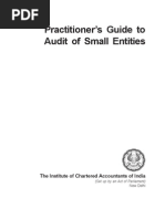 Practitioner's Guide To Audit of Small Entities