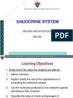Chapter 8 Endocrine System
