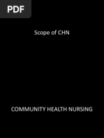 Download COMMUNITY HEALTH NURSING by Aiza Oronce SN123724860 doc pdf