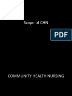 Download COMMUNITY HEALTH NURSING by Aiza Oronce SN123724860 doc pdf