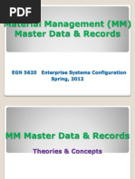 EGN 5620 Enterprise Sys MM Master Data