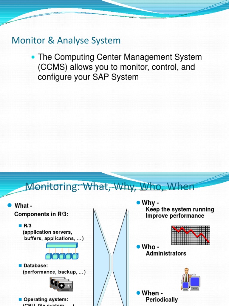R/3 System Monitoring Overview | PDF | Databases | Data Management