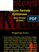 Enzim Epimerase
