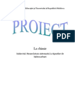 Proiect