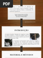 Emergência e crescimento de plântulas de bacabi (