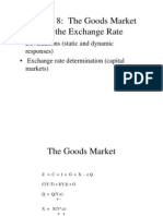 Lecture 8: The Goods Market and The Exchange Rate