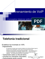 Conceptos Basicos de La Telefonia IP