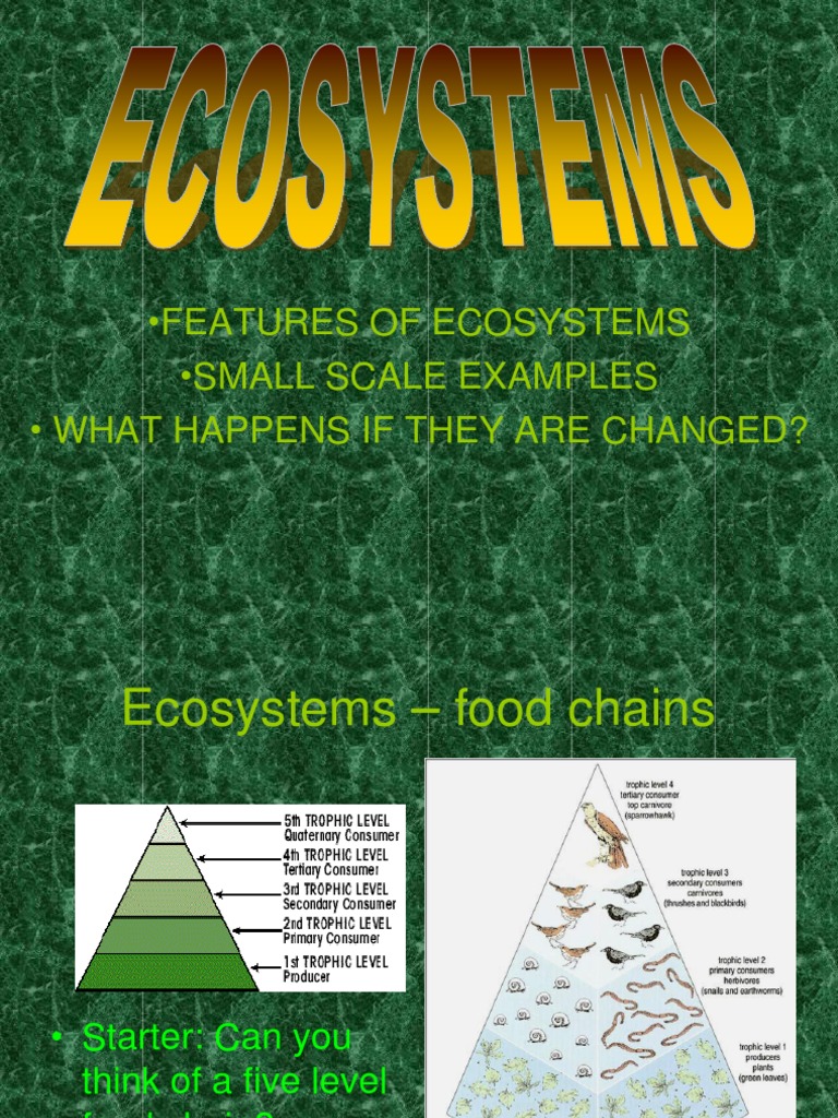Small Changes in Ecosystems | PDF | Food Web | Ecosystem