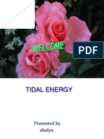 TIDAL ENERGY