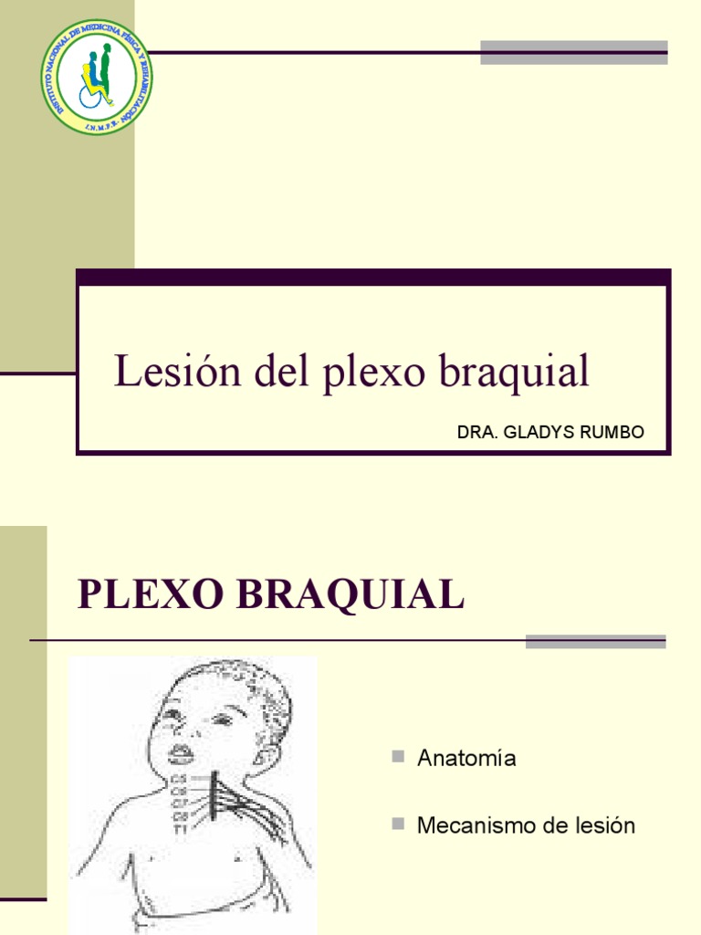 Lesiones Del Plexo Braquial Neonatal Pdf Parto Hombro 