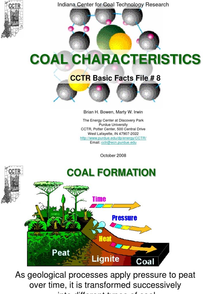 Characteristics and Types of Coal | PDF | Coke (Fuel) | Coal